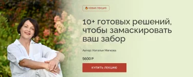 0.webp