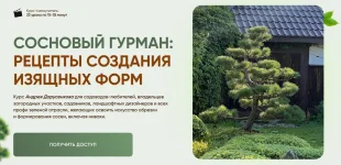 0.webp