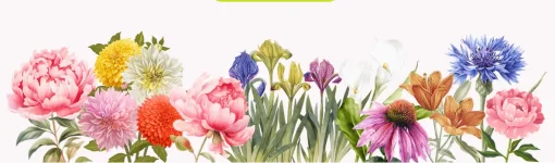 0.webp