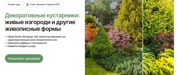 0.webp