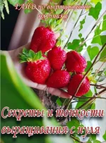 0.webp