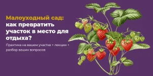 0.webp