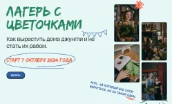 0.webp