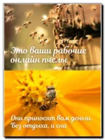 2.webp
