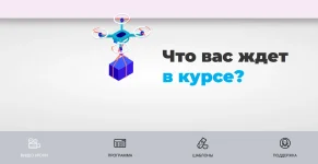 4.webp
