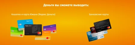 5.webp