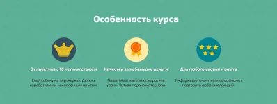 2.webp