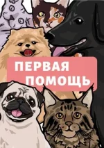 0.webp