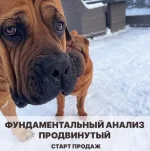 0.webp