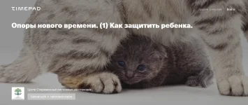 0.webp