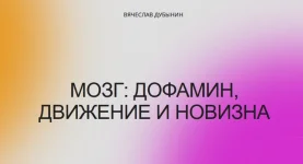 0.webp