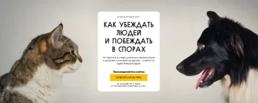 0.webp