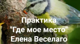 0.webp