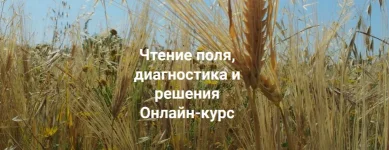 0.webp
