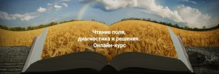 0.webp