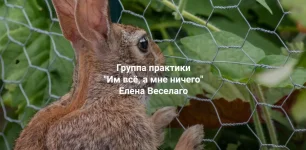 0.webp