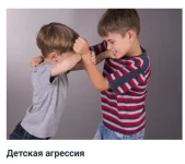 0.webp
