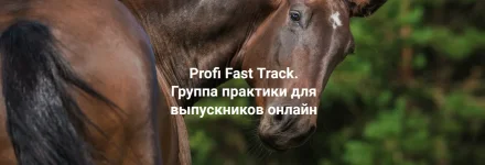 0.webp