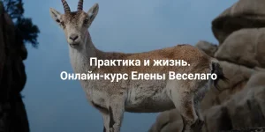 0.webp