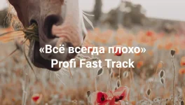 0.webp