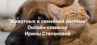 0.webp