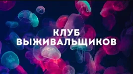 0.webp
