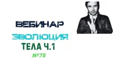 0.webp